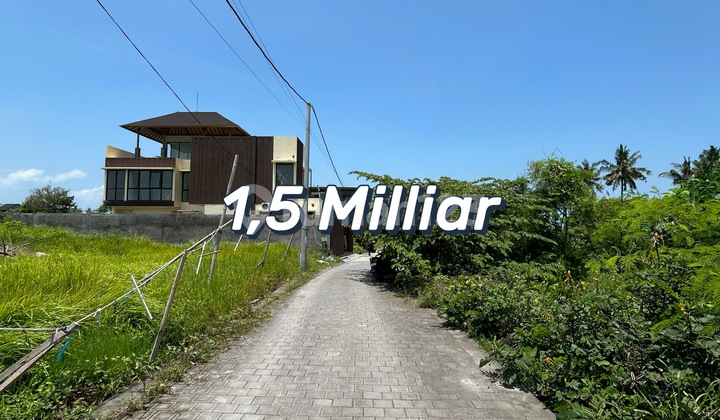 Tanah Eksklusif Dijual Dekat Pantai Cemagi – Lokasi Strategis Dengan View Sunset Tanah Eksklusif Dijual Dekat Pantai Cemagi – Lokasi Strategis Dengan View Sunset