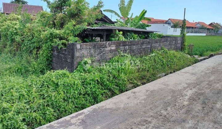 Tanah 500 M2 Dekat Pantai Cemagi For Sale 2