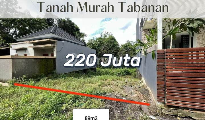 Tanah Kavling Strategis Di Bca Land Senapahan – Investasi Tepat Di Kawasan Tumbuh Cepat! Tanah Kavling Strategis Di Bca Land Senapahan – Investasi Tepat Di Kawasan Tumbuh Cepat!