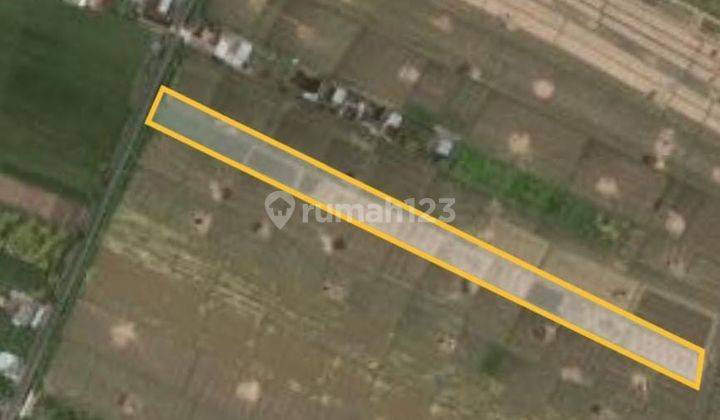 Jual Tanah Sawah Global di Kelating Tabanan Dekat Pantai 2