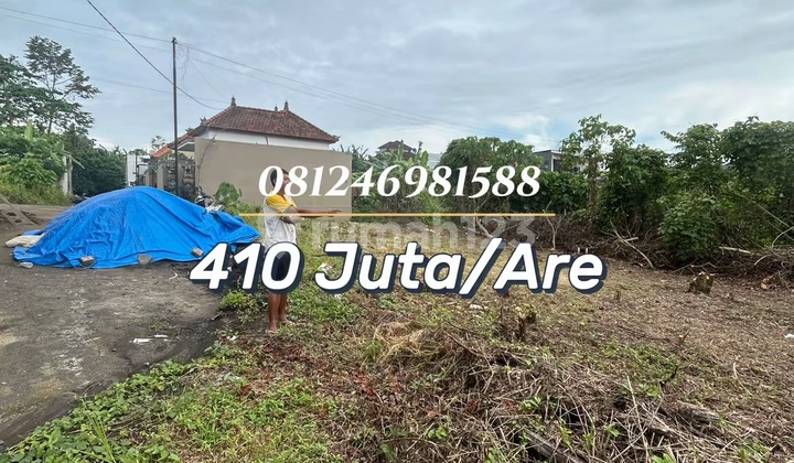 For Sale Cheap Land in Villa Pandak Gede Area - Potential Investment Tabanan