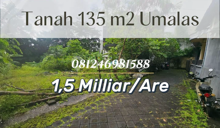 Tanah Premium di Lingkungan Villa Eksklusif Umalas