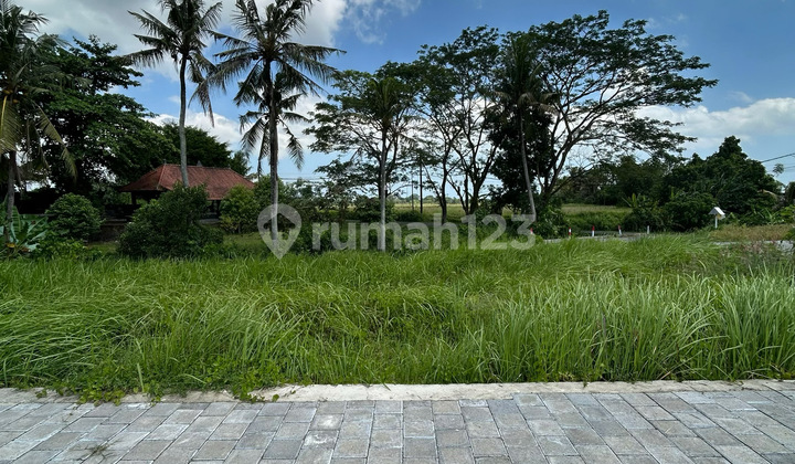 3 Kavling Terakhir Di Lokasi Strategis Kaba-kaba