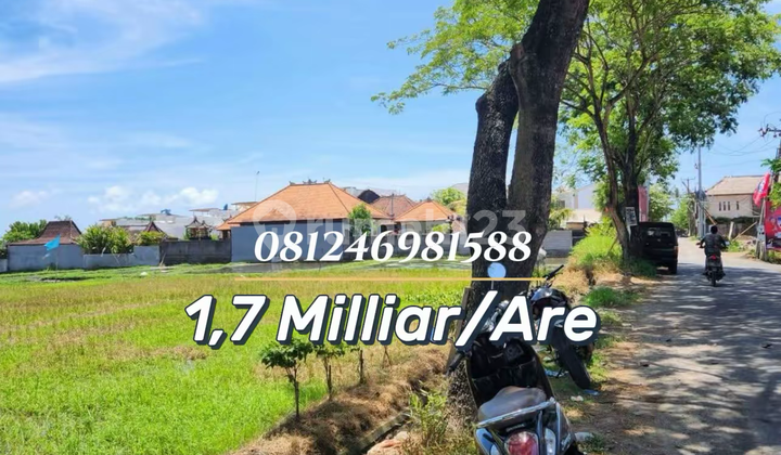 Dijual atau Disewakan Prime Land Investment - 150 Meter Dari Pantai Seseh
