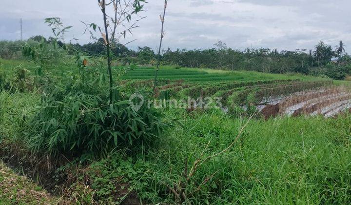 Dijual Murah Tanah Global Kawasan Kerambitan Tabanan 1