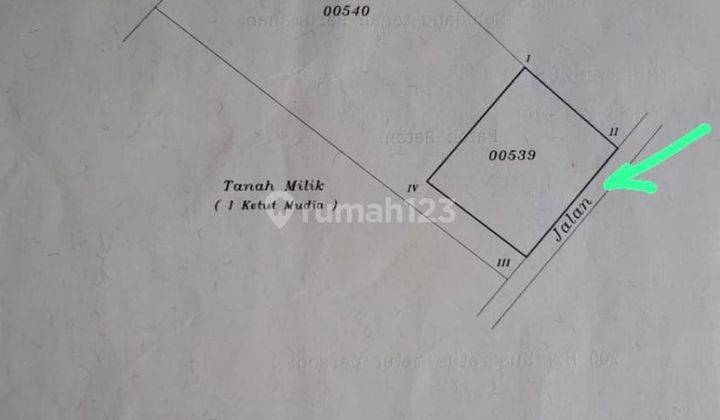 Jual Tanah Langka 200 M2 di Pandak Kediri Tabanan 2