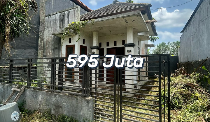 Dijual Rumah Potensi Investasi — Pandak Gede, Tabanan