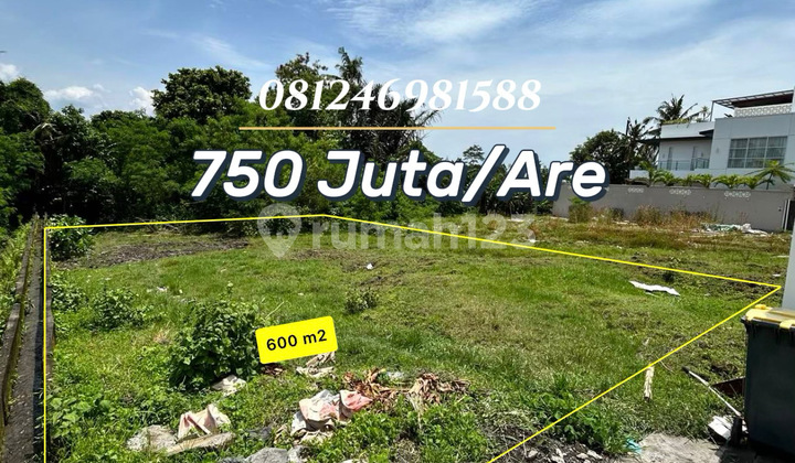 Tanah Eksklusif dengan View Sawah & Sungai di Kawasan Villa Munggu, Bali