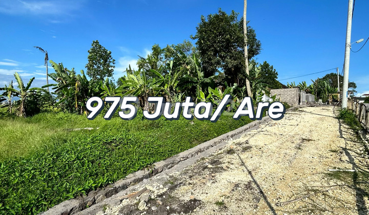 Strategic Land in Nyanyi Near the Beach - Premium Investment Opportunity! Strategic Land in Nyanyi Near the Beach - Premium Investment Opportunity!