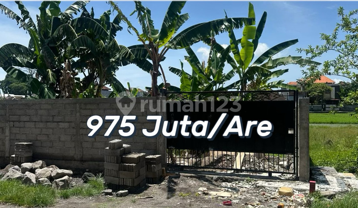 Tanah Strategis Siap Bangun Di Kalimutu, Denpasar Bali Tanah Strategis Siap Bangun Di Kalimutu, Denpasar Bali
