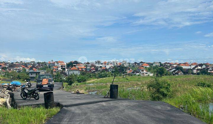 Solusi Tanah Murah View Sawah Terdekat Ke Canggu