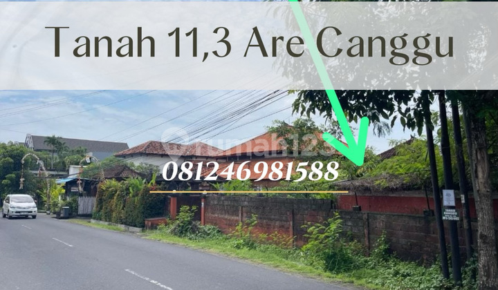 For Sale Tanah Strategis Canggu - Akses Jalan Utama, Siap Investasi & Usaha