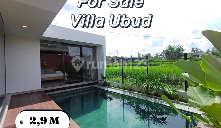 Villa Cantik Tepi Sawah — Harga Turun Lagi, Bikin Mantan Makin Menyesal