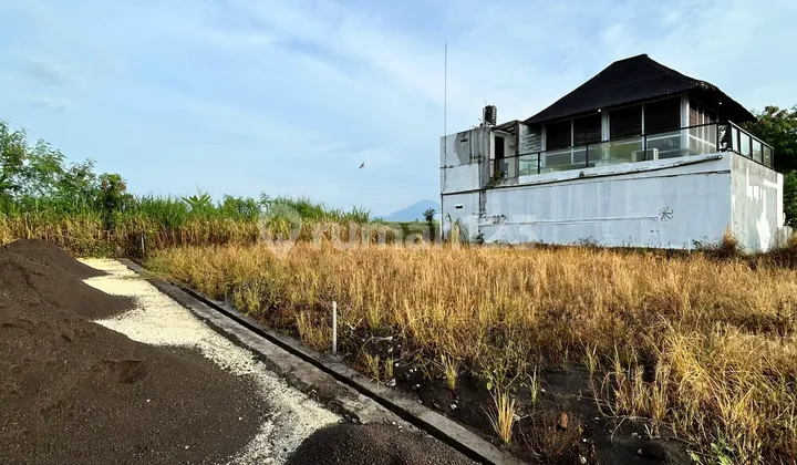 Ready SHM 2 Plot Terakhir Tanah Kavling Terlaris Dekat Pantai Kedungu