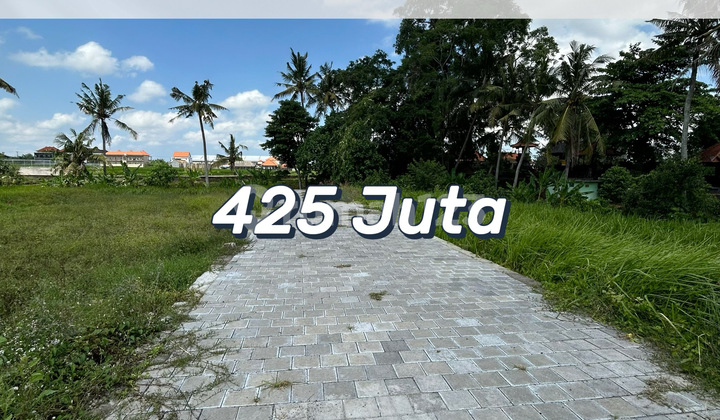 3 Last Plots in the Strategic Location of Kaba-kaba