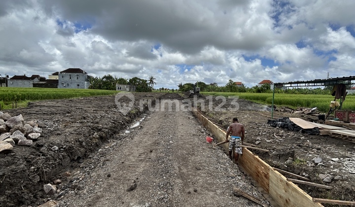 Promo Hot Tanah Kavling View Sawah di Kawasan Hunian Eksklusif Pandak Gede
