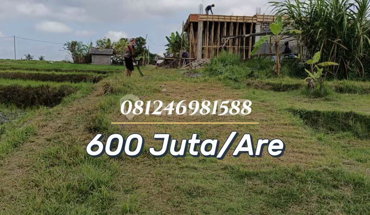 For Sale Tanah View Sawah & Sungai - Investasi Strategis Cocok untuk Villa For Sale Tanah View Sawah & Sungai - Investasi Strategis Cocok untuk Villa
