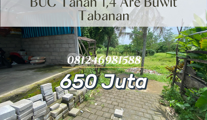 Buc - Cheap Land with Rice Field View in Buwit, Building Bonus Buc - Cheap Land with Rice Field View in Buwit, Building Bonus