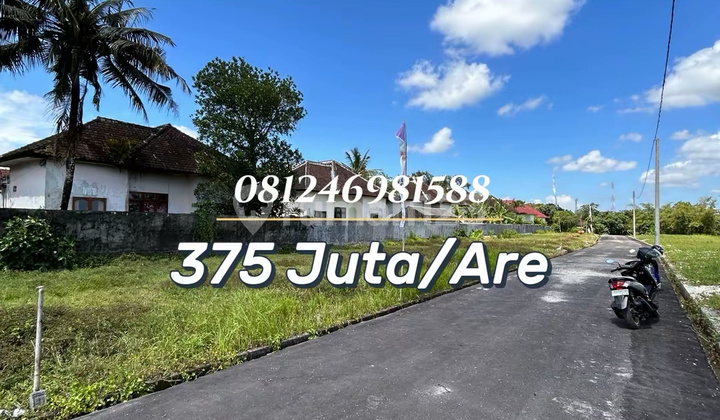 For Sale Tanah Strategis View Sawah Aktif - Investasi & Hunian Ideal di Tabanan