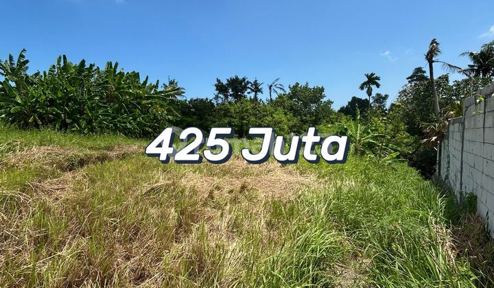 Cheap Land Plots in Tanah Lot – Rice Field & River View, Near Kedungu Beach. Cheap Land Plots in Tanah Lot – Rice Field & River View, Near Kedungu Beach.