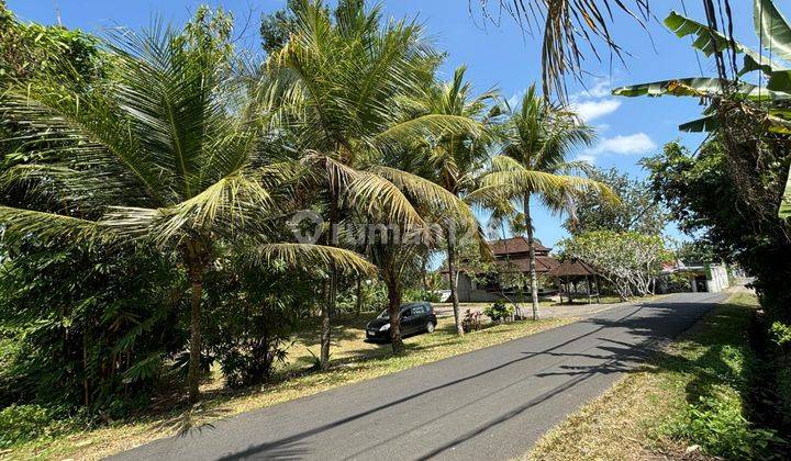 Dijual Tanah Premium Pinggir Jalan Utama Bongan 2