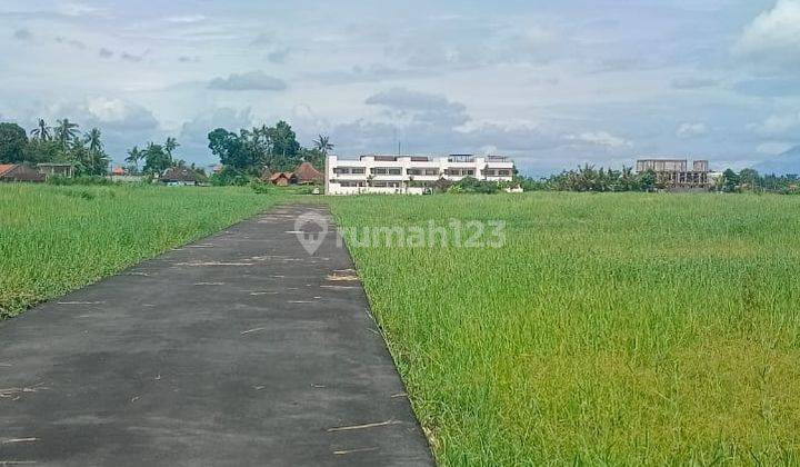 For Sale Land At Kedunggu Area Close To Beach 2