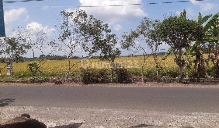 Jual Tanah Sawah Global di Kelating Tabanan Dekat Pantai 1