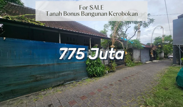 Buc Super Murah Tanah Bonus Bangunan Strategis Siap Bangun Di Muding Mekar Buc Super Murah Tanah Bonus Bangunan Strategis Siap Bangun Di Muding Mekar