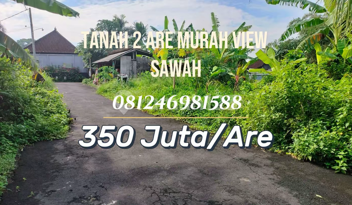 Premium Land Near Kedungu Beach - Rice Field View, Villa Environment