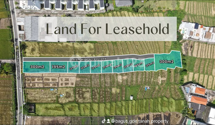 Rare Opportunity! Leasehold Land Near Cemagi Beach
