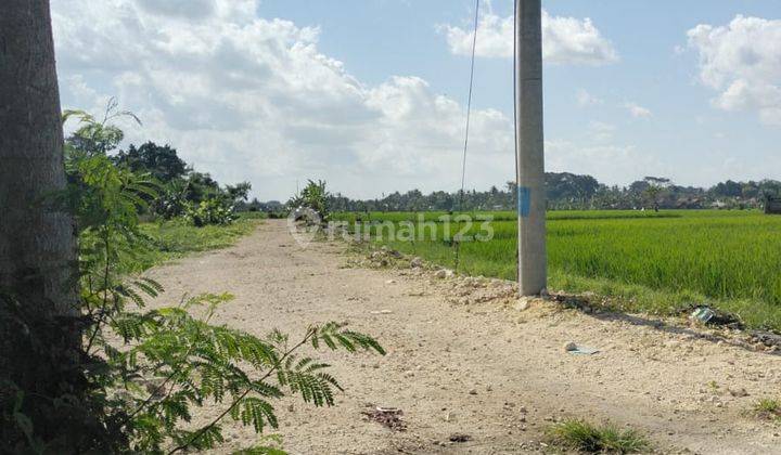 Tanah Murah View Persawahan Di Nyitdah 2