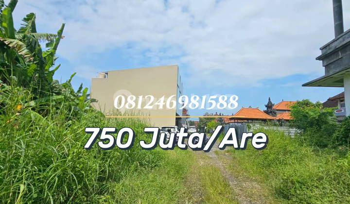 For Sale Investasi Tanah Kavling Strategis di Dalung - Siap Bangun & SHM