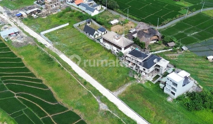 Rare Investment Opportunity - Leasehold Land Walking Distance To Cemagi Beach