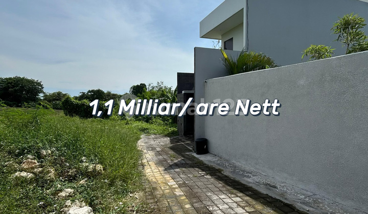 For Sale Buc Tanah Langka Dengan Nilai Investasi Tinggi Di Cemagi