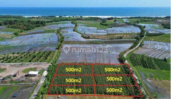 Selling Cheap Plots of Land Near Pasut Beach 1