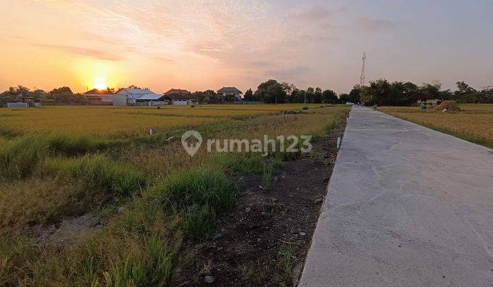 Tanah Murah View Sawah Kawasan Kedungu Tabanan 1