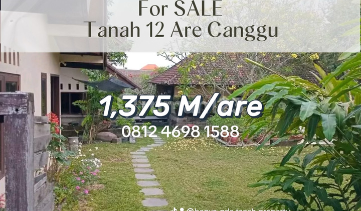 For Sale Tanah Investasi Premium Dekat Pantai Canggu