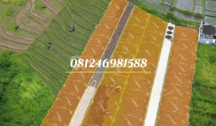 Ready SHM 2 Final Plots, Best-Selling Land Parcels Near Kedungu Beach. Ready SHM 2 Final Plots, Best-Selling Land Parcels Near Kedungu Beach.