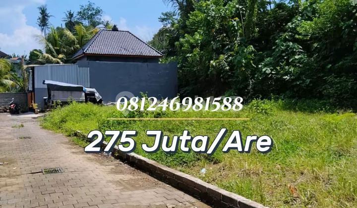 For Sale - Tanah Kavling Strategis Harga Terjangkau di Kediri, Cocok untuk Hunian Pribadi & Investasi