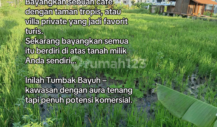 Buc! For Rent: Prime Land by Main Road Tumbak Bayuh – Perfect for Your Trendy Business