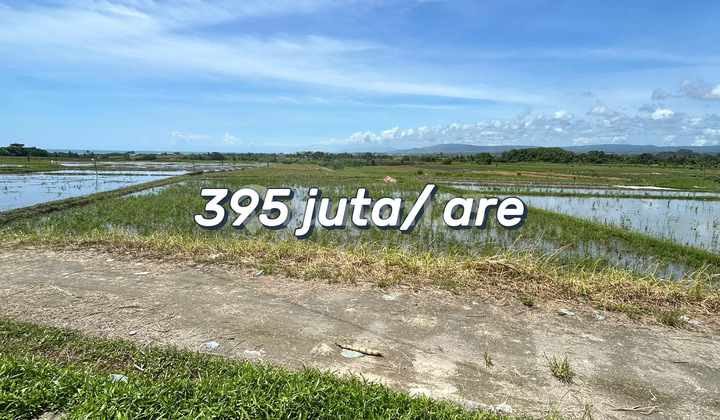 For Sale Tanah Eksklusif Dekat Pantai Kelating - Investasi Prospektif Di Tabanan Bali