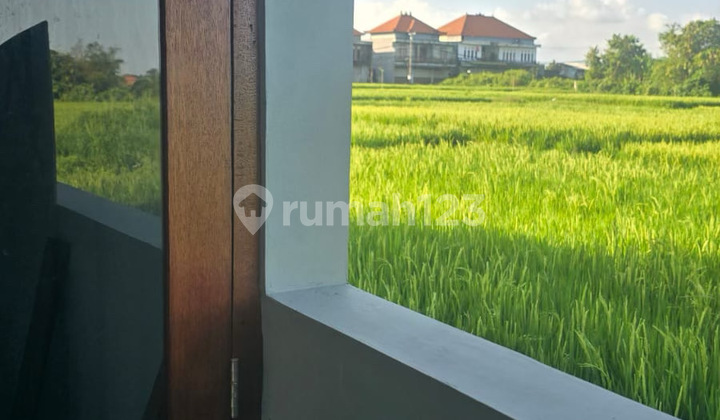 Strategic House Near Canggu & Kedungu Beach – Limited Promotional Price Strategic House Near Canggu & Kedungu Beach – Limited Promotional Price