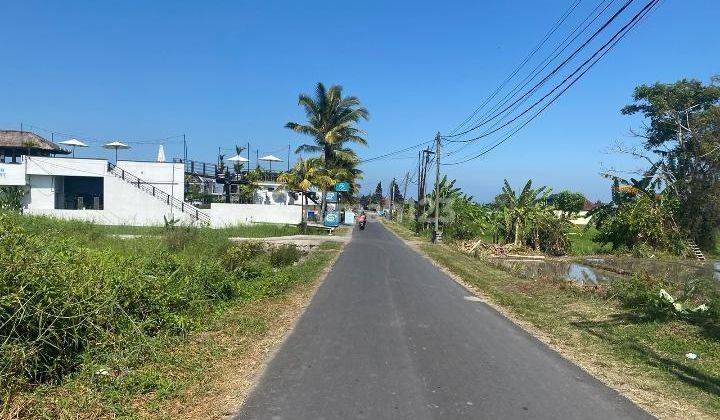 Dijual Tanah Jalan Kaki Ke Pantai Cinta Kedungu 1