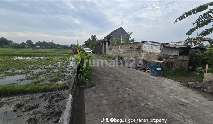 Kavling Premium View Sawah - Lingkungan Villa Eksklusif Kavling Premium View Sawah - Lingkungan Villa Eksklusif