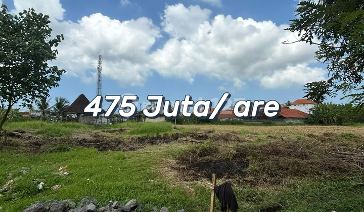 Hot Promo for Exclusive Land Plots in Pandak Gede, Tabanan