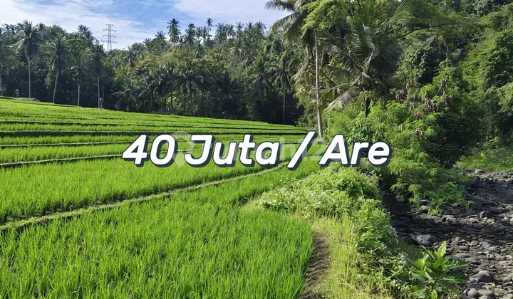 Tanah View Sungai & Persawahan Dekat Pantai Balian – Investasi Langka Di Kawasan Potensial Tanah View Sungai & Persawahan Dekat Pantai Balian – Investasi Langka Di Kawasan Potensial