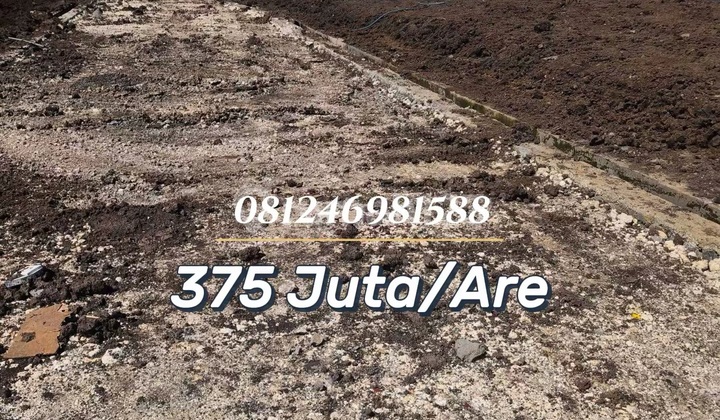 For Sale Tanah Kavling Premium Pesona Anyelir Mesari Tabanan - Lokasi Strategis Dekat By Pass