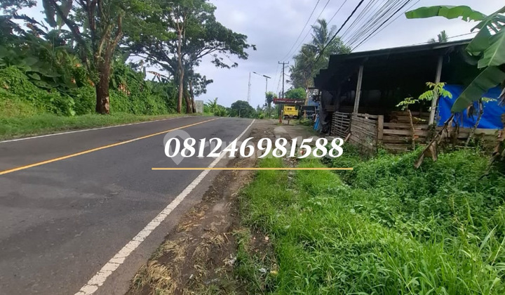 For Sale Land Along Main Road to Balian Beach - Below Market Price For Sale Land Along Main Road to Balian Beach - Below Market Price