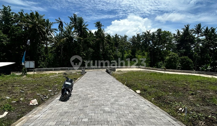 Ready SHM 2 Plot Terakhir Tanah Kavling Terlaris Dekat Pantai Kedungu - Tahap Ii Resmi Dibuka!