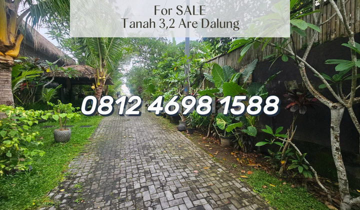 For Sale Tanah Strategis Siap Bangun Di Jl. Beringin, Dalung For Sale Tanah Strategis Siap Bangun Di Jl. Beringin, Dalung